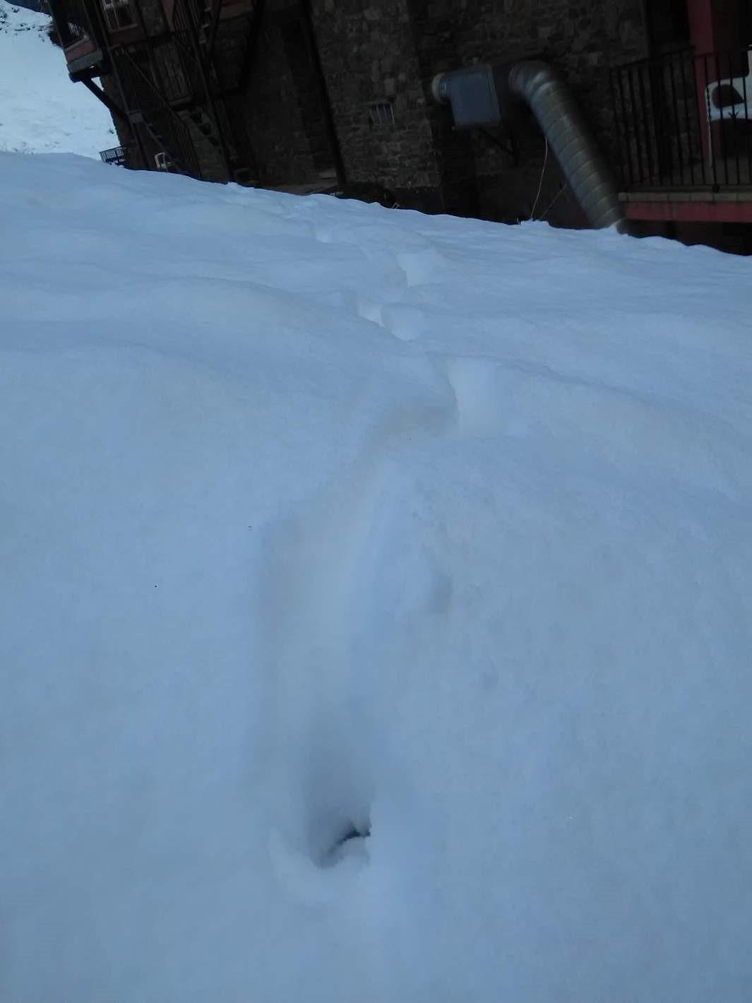 Xalet Besoli Arinsal Εξωτερικό φωτογραφία